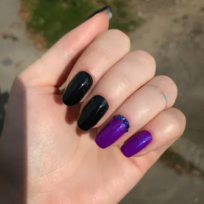 HOLO Patrycja Harwig